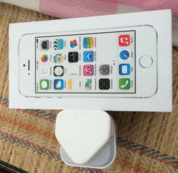 iPhone 5s原裝充電器與耳機交易指南 家電與數(shù)碼產(chǎn)品區(qū)選購技巧